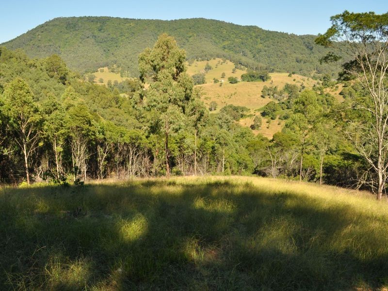 Caffreys Flat NSW 2424