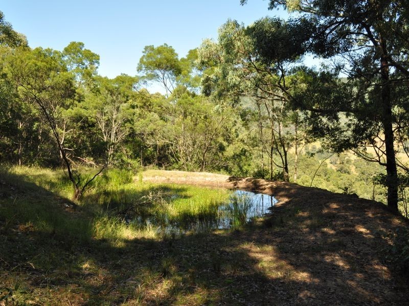 Caffreys Flat NSW 2424