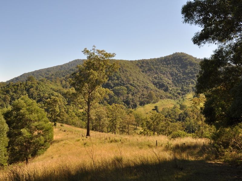 Caffreys Flat NSW 2424