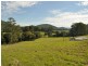 Marlee NSW 2429