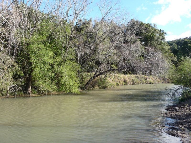 Marlee NSW 2429