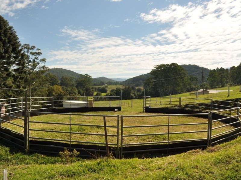 Marlee NSW 2429