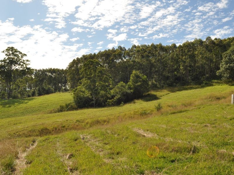 Marlee NSW 2429