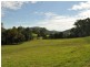 Marlee NSW 2429
