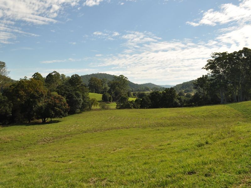 Marlee NSW 2429