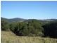 Marlee NSW 2429