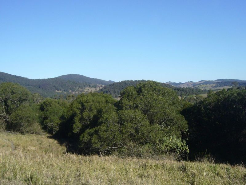 Marlee NSW 2429