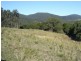 Marlee NSW 2429