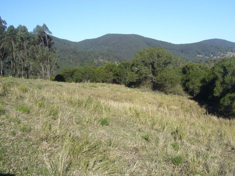 Marlee NSW 2429