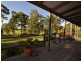 Wingham NSW 2429