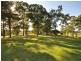 Wingham NSW 2429