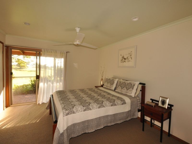 Wingham NSW 2429