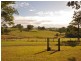 Wingham NSW 2429