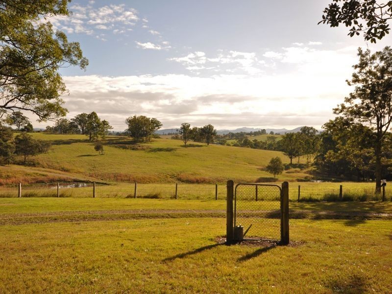 Wingham NSW 2429