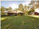 Wingham NSW 2429