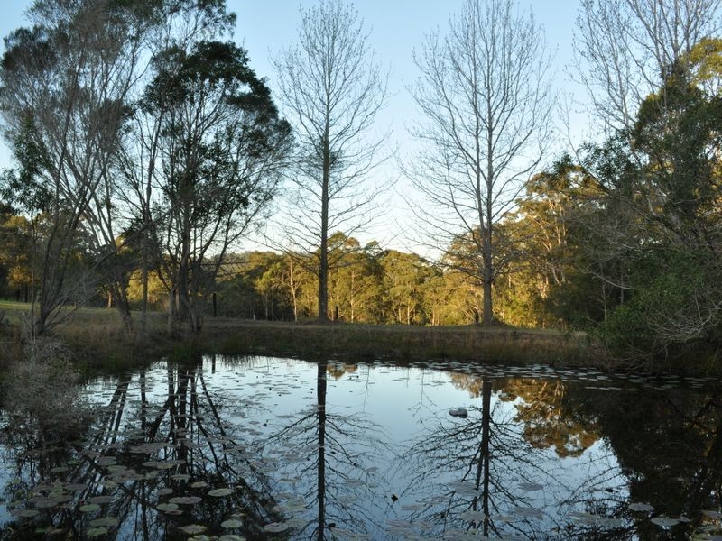 502 Nowendoc Road, Killawarra NSW 2429