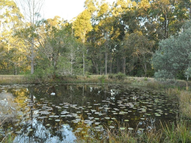 502 Nowendoc Road, Killawarra NSW 2429