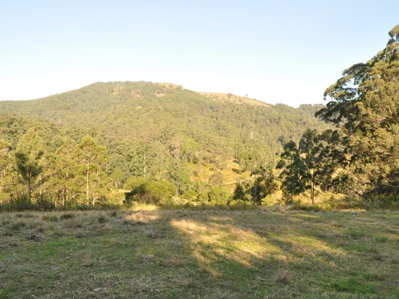 348 Caparra Road, Caparra NSW 2429