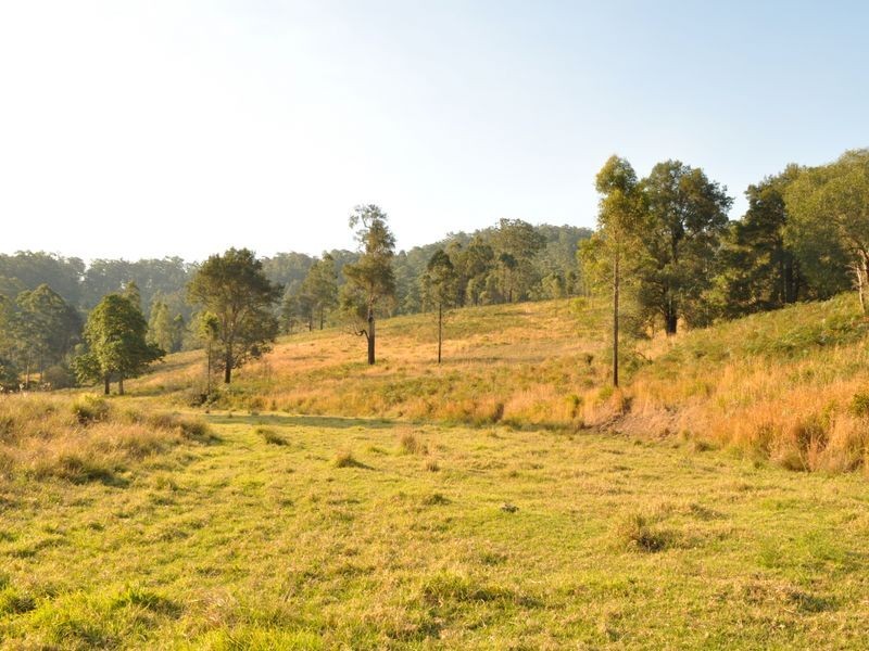 348 Caparra Road, Caparra NSW 2429