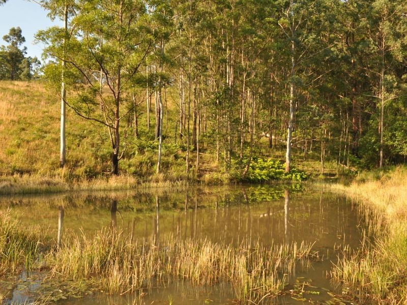 348 Caparra Road, Caparra NSW 2429