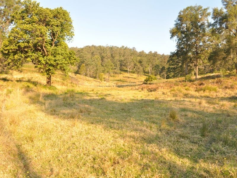 348 Caparra Road, Caparra NSW 2429