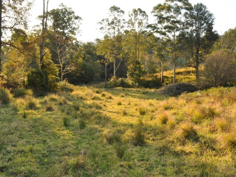 348 Caparra Road, Caparra NSW 2429