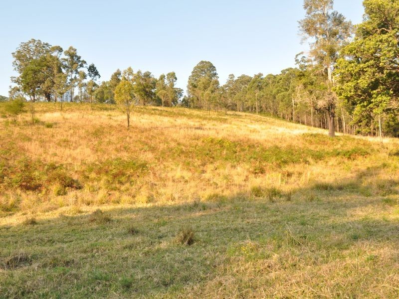 348 Caparra Road, Caparra NSW 2429