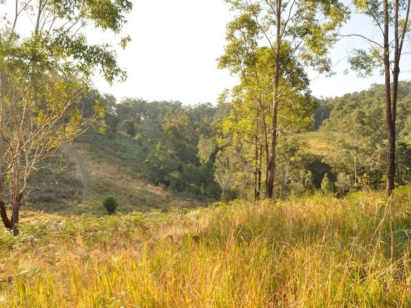 348 Caparra Road, Caparra NSW 2429