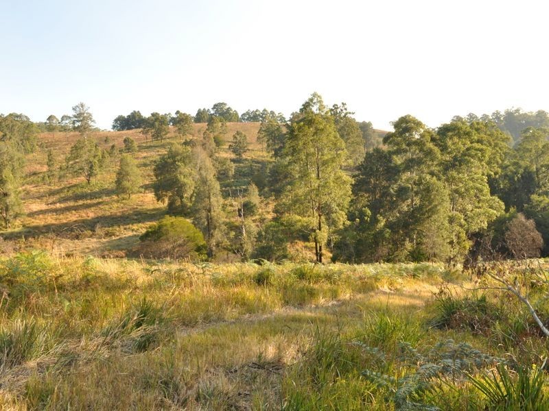 348 Caparra Road, Caparra NSW 2429