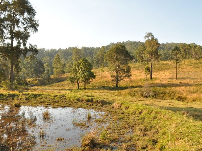 348 Caparra Road, Caparra NSW 2429