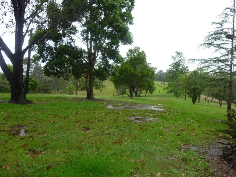 11 Bulby Close, Wang Wauk NSW 2423