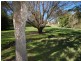 7 Abbott Street, Wingham NSW 2429