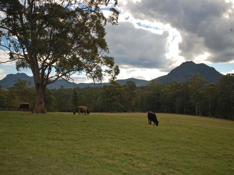 Upper Lansdowne NSW 2430