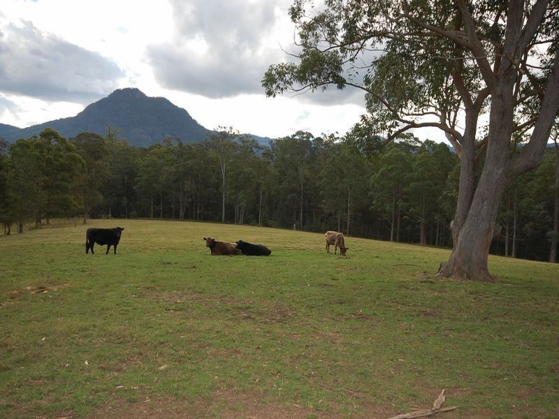 Upper Lansdowne NSW 2430