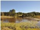Wingham NSW 2429