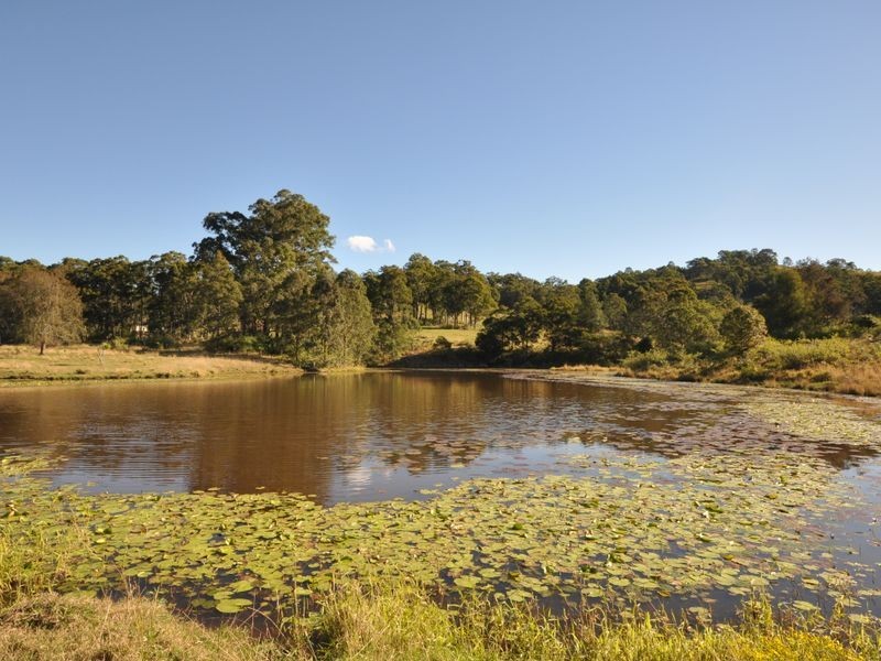 Wingham NSW 2429