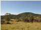 Wingham NSW 2429