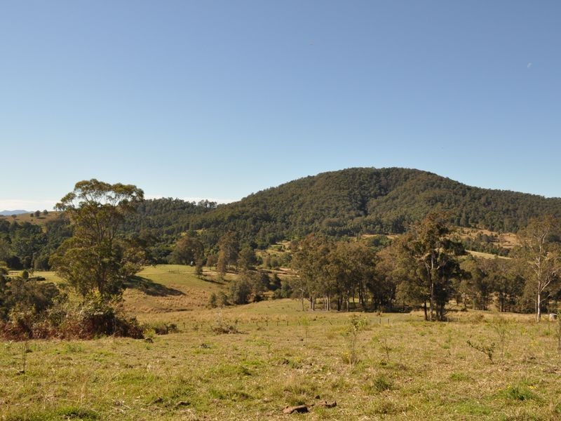 Wingham NSW 2429