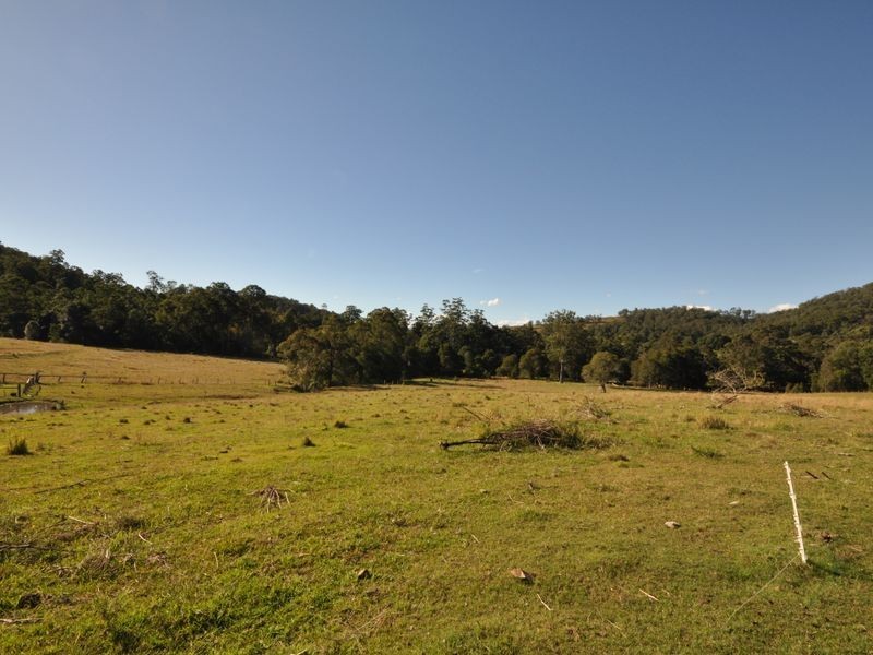 Wingham NSW 2429