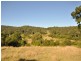 Wingham NSW 2429