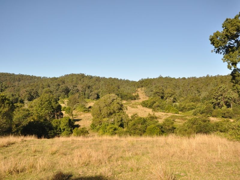 Wingham NSW 2429