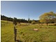 Wingham NSW 2429