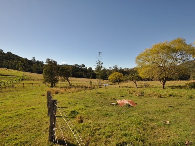 Wingham NSW 2429