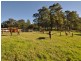 Wingham NSW 2429