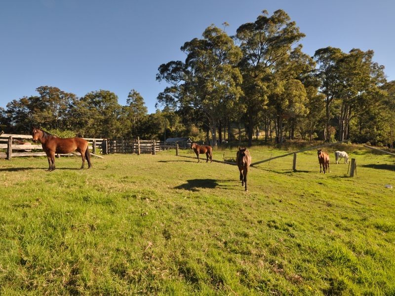 Wingham NSW 2429