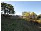 Wingham NSW 2429