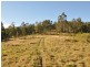 Wingham NSW 2429