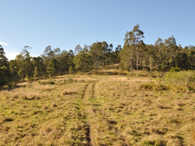 Wingham NSW 2429