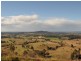 Wingham NSW 2429