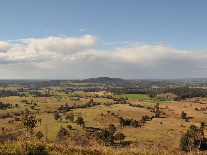 Wingham NSW 2429